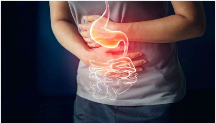 Warum Ihr Verdauungssystem nicht richtig funktioniert