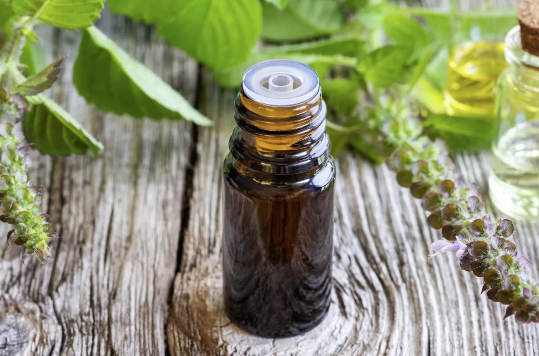 Copaiba-Öl verwendet und Vorteile zur Schmerzlinderung, Haut und mehr (evidenzbasiert)