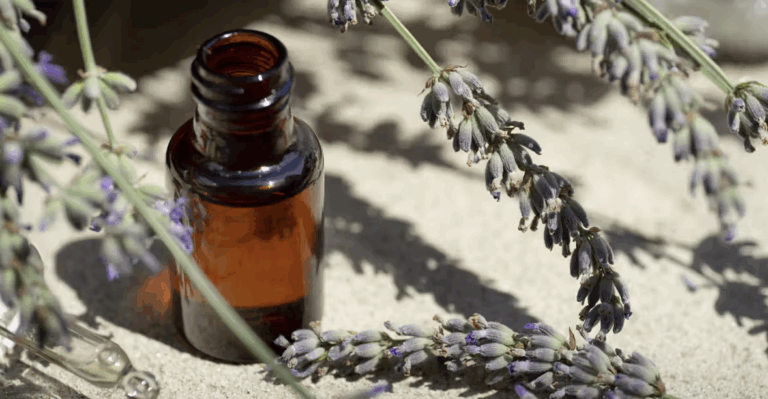 Lavendelöl Anwendungen und Vorteile für Haare, Haut und mehr wissenschaftlich fundiert