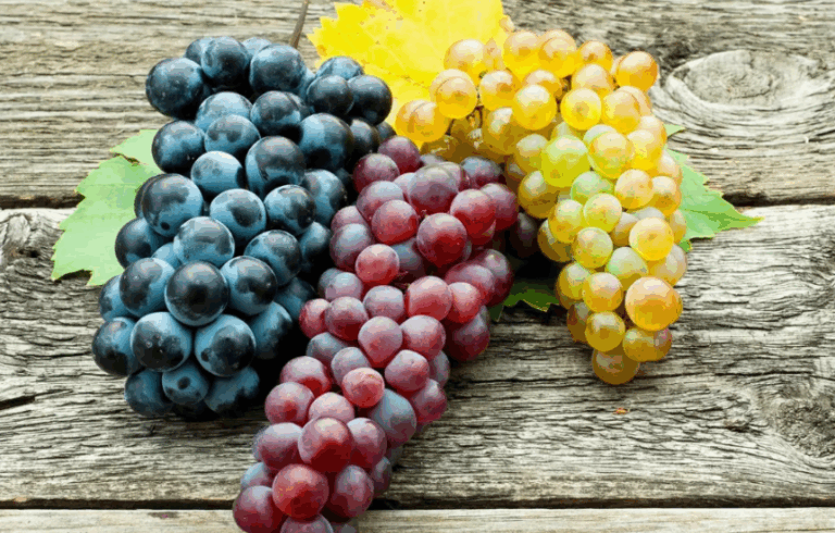 Welche Vitamine sind in Weintrauben?